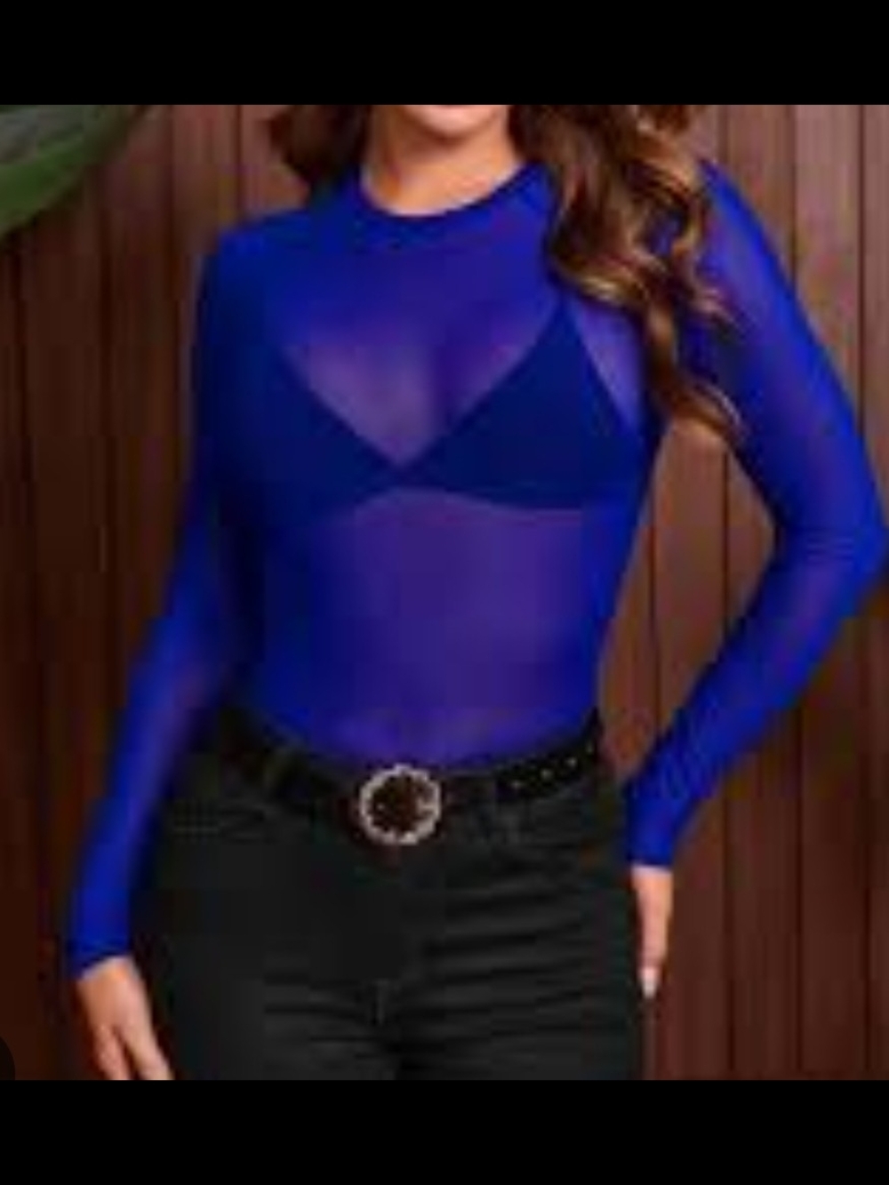 NWOT Sheer Long-Sleeve Royal Blue Top